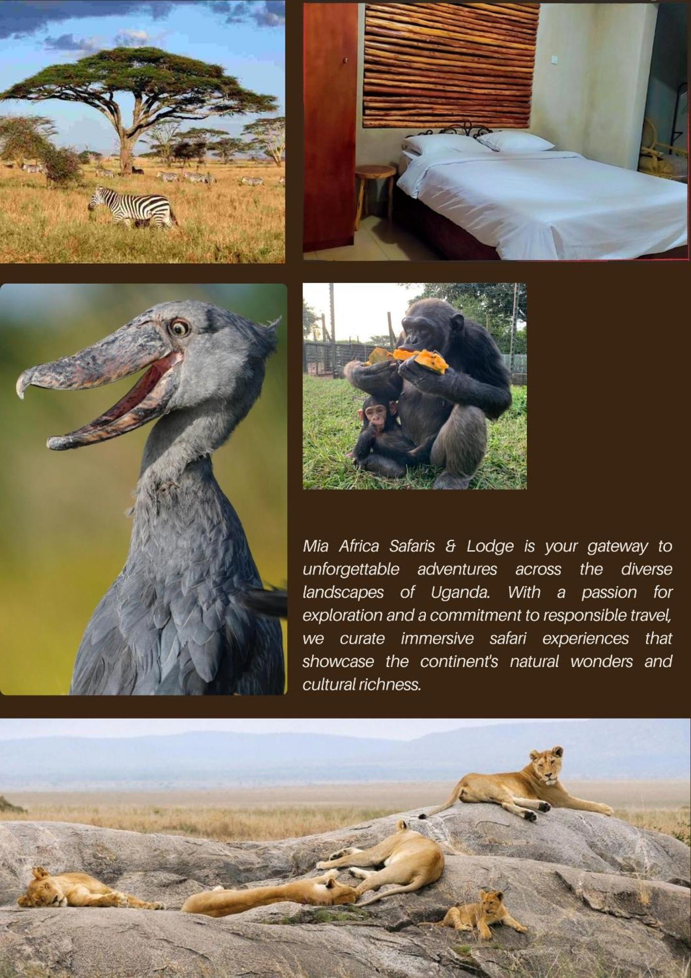 Mia Safari Lodge And Restaurant Entebbe Eksteriør billede